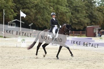 181923_mtp_03_R62_7458.JPG