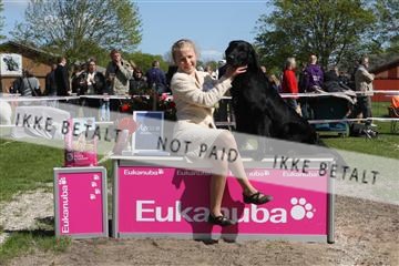134871_ms_02_IMG_3233.JPG