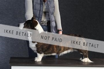 132082_le_ 01_IMG_0596.JPG