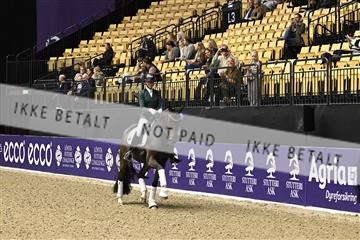 182194_kbb_03_Z091033.JPG