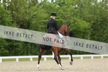 139835_sg_01_IMG_7527.JPG