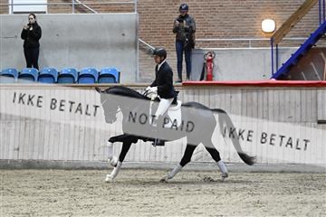 182241_kbb_01_Z094146.JPG