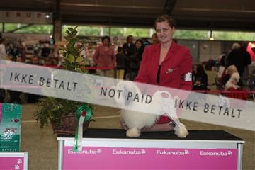 126168_se_01_IMG_6826.JPG