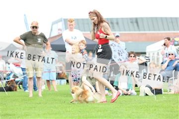 181564_rin_01_R62_8840.JPG