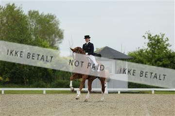 139835_sg_01_IMG_7479.JPG