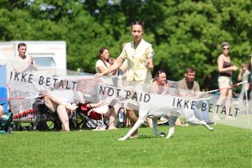 181564_rin_02_R62_2579.JPG