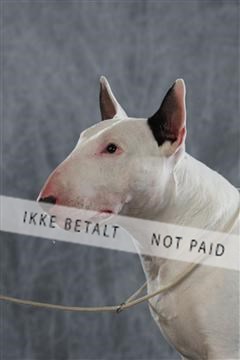 128239_le_kort_ 01_0282.JPG