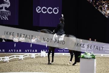 182194_avh_07_4271.JPG