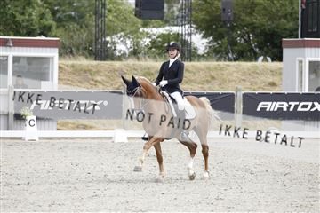 166078_rhj_01__J7R2377.JPG