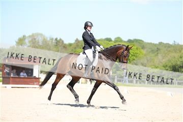 168732_mtp_01_3M5A7948.JPG