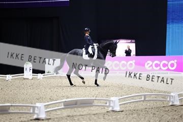 182194_avh_07_3991.JPG