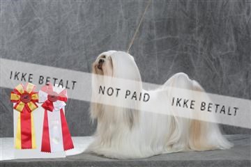 130054_le_ 01_0253.JPG