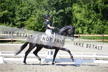 181449_kbb_01_6II9308.JPG