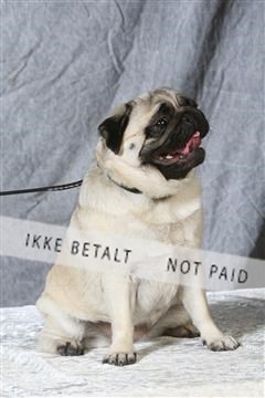 6068_ma_04_IMG_5326.JPG