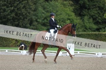 181957_mtp_01_3M5A7824.JPG