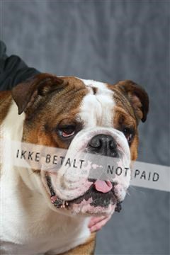 130054_le_ 03_0349.JPG