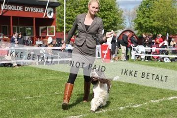 134871_ms_04_IMG_0728.JPG