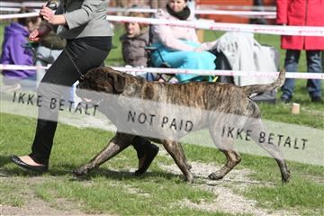 134871_ms_04_IMG_1164.JPG