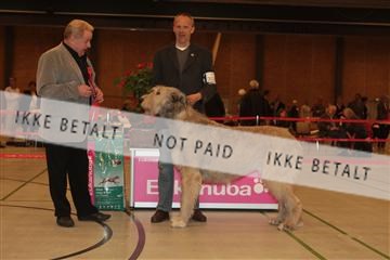 124188 _tl_02_IMG_9678.JPG