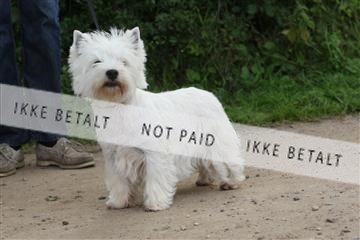130370_se_01_IMG_5232.JPG