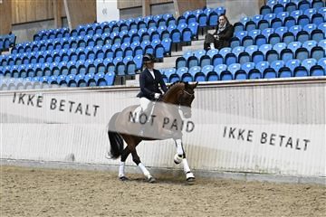 182241_kbb_01_Z095194.JPG
