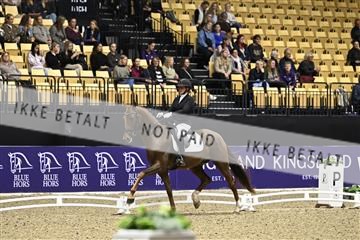 182194_kbb_03_Z090662.JPG