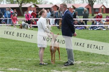 134871_ms_04_IMG_0194.JPG