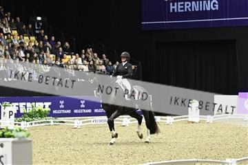 182194_kbb_03_Z092521.JPG