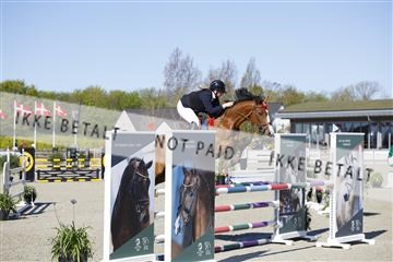 181332_kbb_01_6II3636.JPG