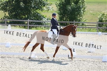 172030_mtp_01_3M5A2506.JPG
