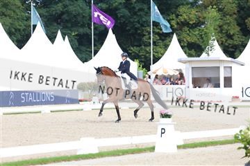 179800_BC_02_00243.JPG