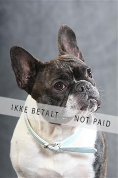 130054_le_ 01_0083.JPG