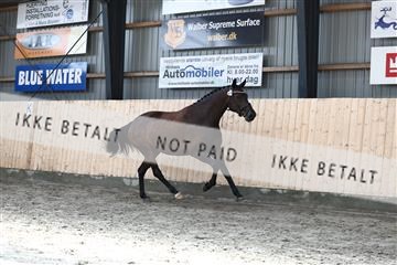 181757_avh_01_6161.JPG