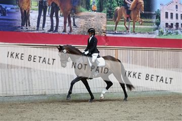 181887_mtp_02_R62_7561.JPG