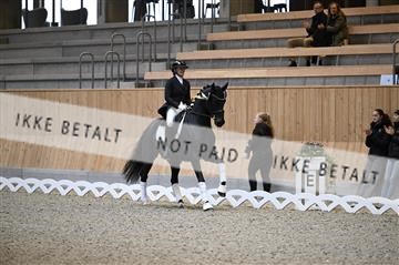 182176_kbb_01_Z094688.JPG