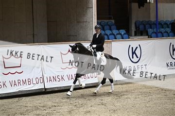 181957_kbb_02_Z099474.JPG