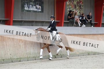181867_mtp_02_R62_4339.JPG
