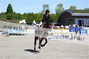 181436_avh_02_3595.JPG