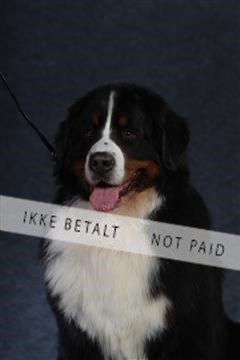 132082_le_ 01_IMG_0876.JPG