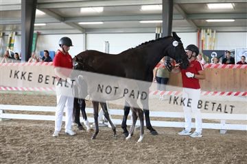 181756_mtp_03_R62_2652.JPG
