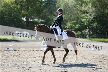 168732_mtp_01_3M5A6117.JPG