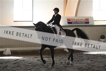 139267_kl_1_8M1Q7109.JPG