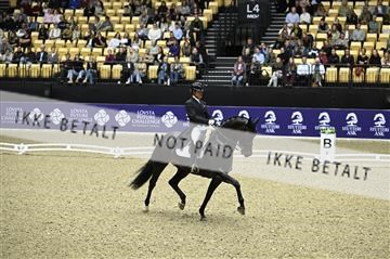 182194_kbb_02_Z099130.JPG