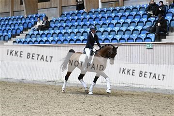 182241_kbb_01_Z095237.JPG