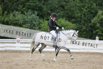 156196_nn_01_IMG_6482.JPG