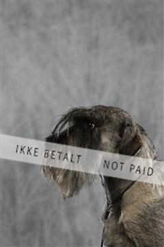 128239_le_kort_ 01_0433.JPG