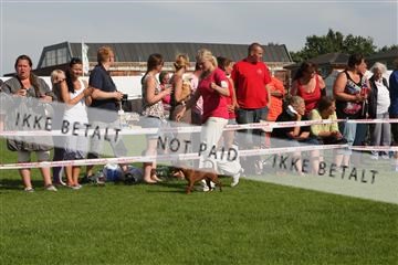 130370_se_02_IMG_6590.JPG