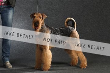 132082_le_ 01_IMG_0431.JPG