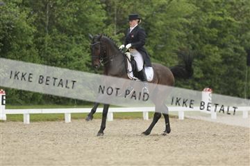139835_sg_02_IMG_8708.JPG