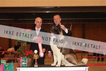 124188 _tl_02_IMG_9732.JPG